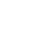 Price Optimization